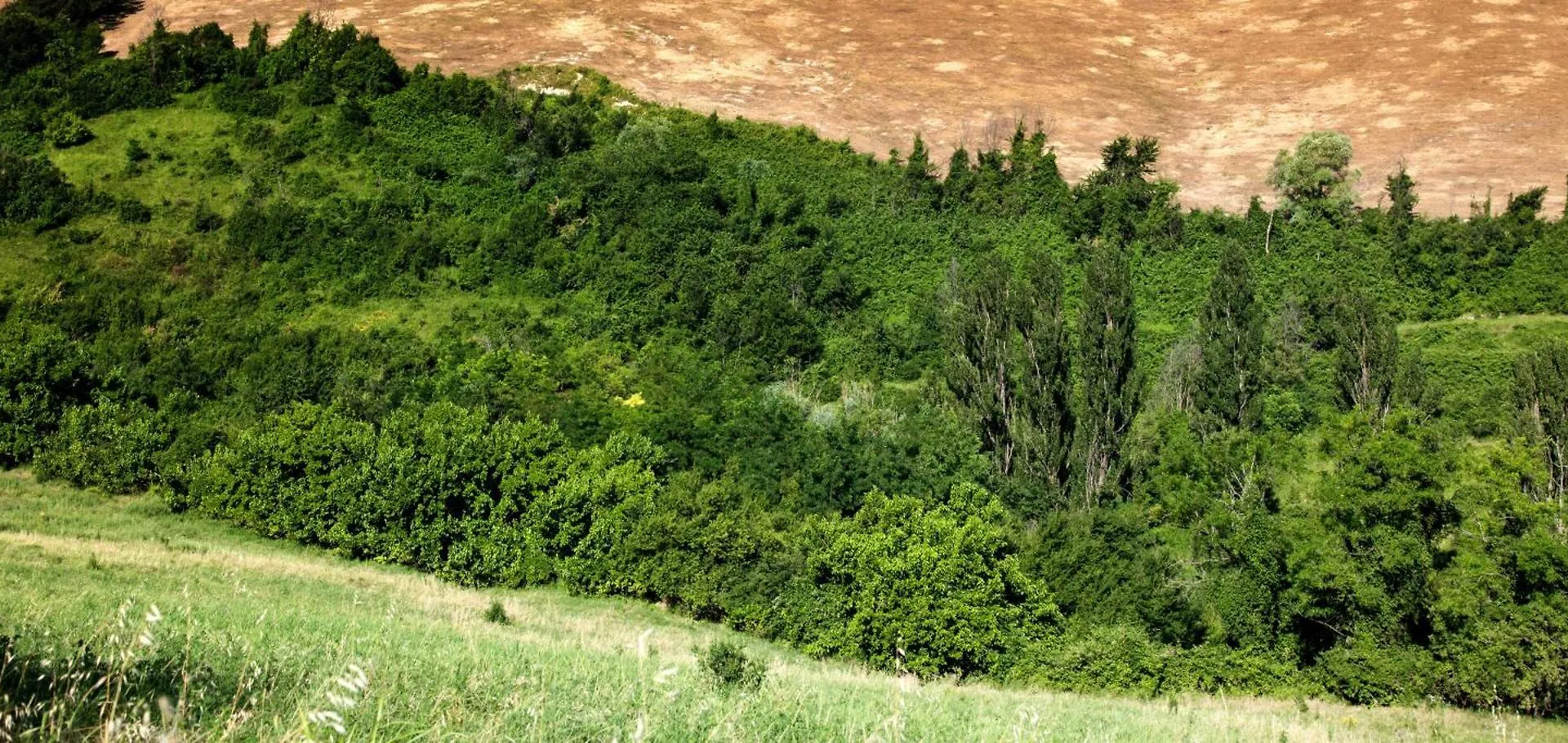 فيلا Casa Sunset Hill بولونيا